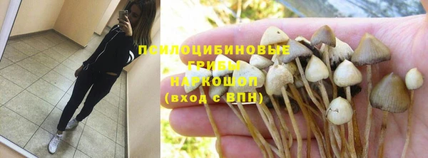 прущий лед Алзамай