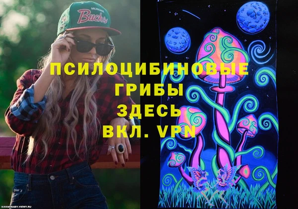 прущий лед Алзамай