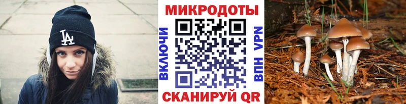 Псилоцибиновые грибы GOLDEN TEACHER  Наволоки 